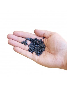 Filler for shooting BAG