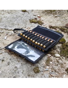 Ammo Sada, včetně 20 pinového panelu 2