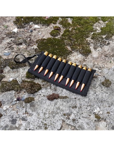 Ammo Kit including 10 pin panel