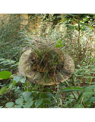 Camouflage hat DIVERZANT